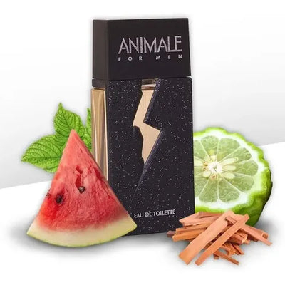Perfume Animale For Men Edt 100ML