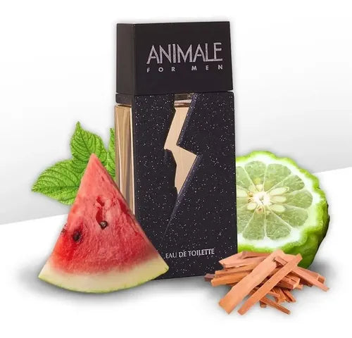 Perfume Animale For Men Edt 100ML